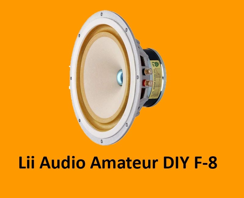 Best 8 Speaker Full Range Amateur DIY F-8 Lii Audio