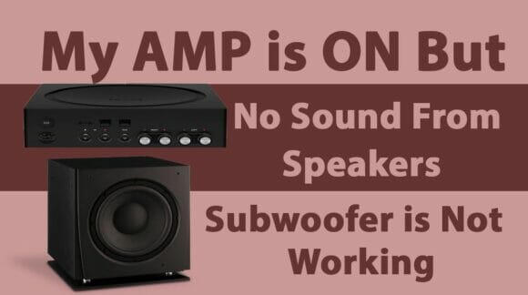 My Amp Is ON But No Sound From Speakers
