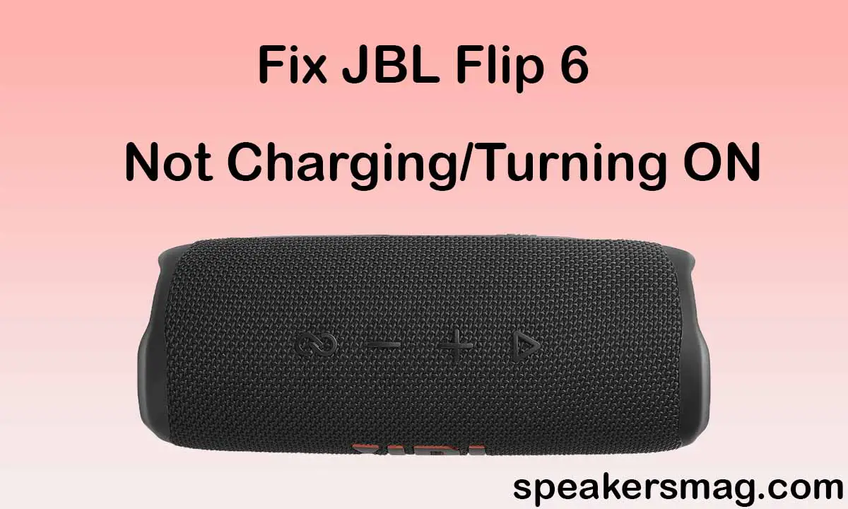 JBL Flip 6 Not Charging or Turning ON